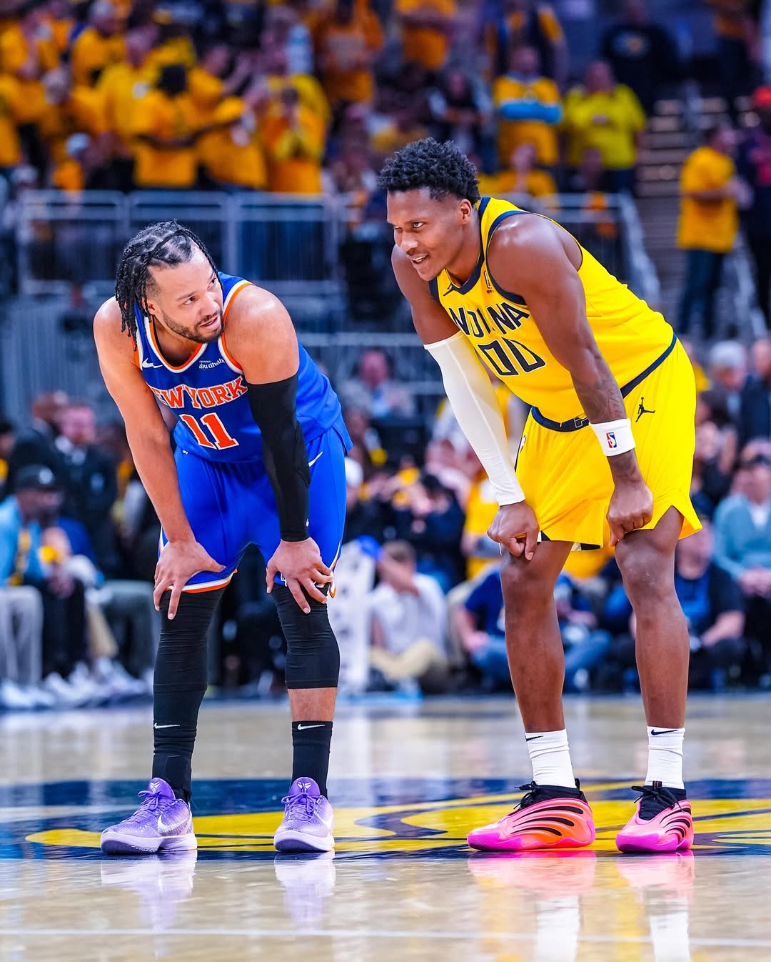 步行者官方, 步行者官方, msn