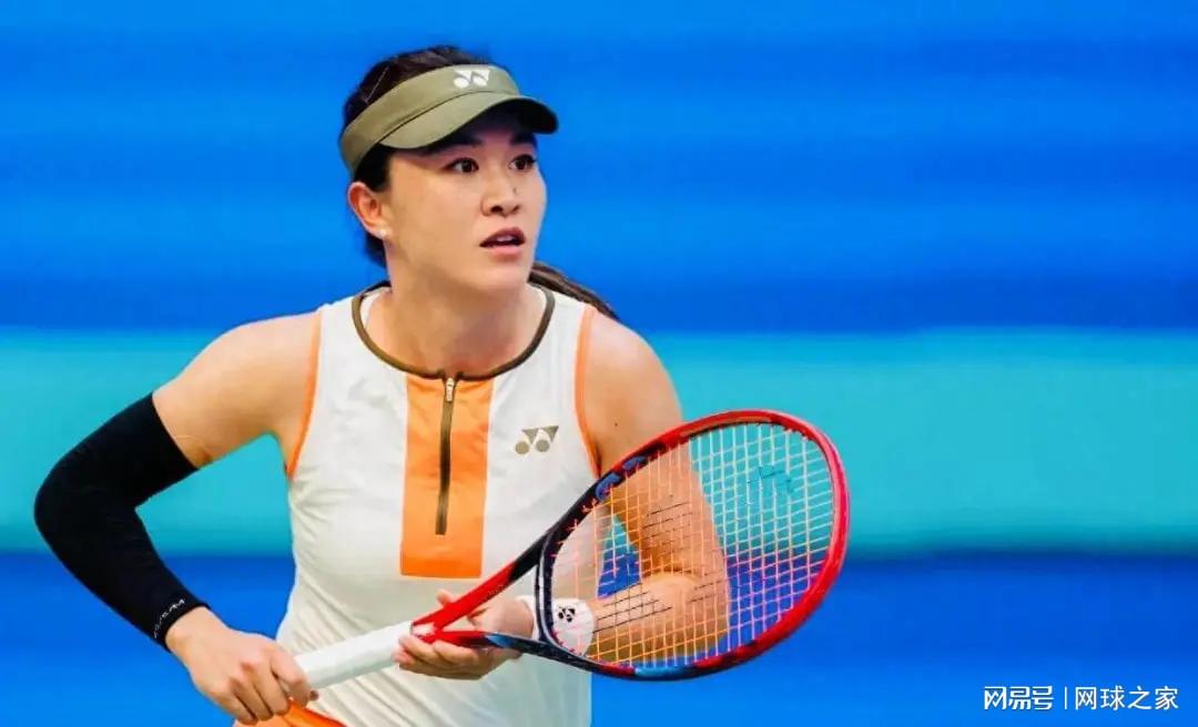 施耐德岂有, 有人说 施耐德岂有, 有人说